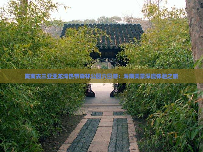 陇南去三亚亚龙湾热带森林公园六日游：海南美景深度体验之旅