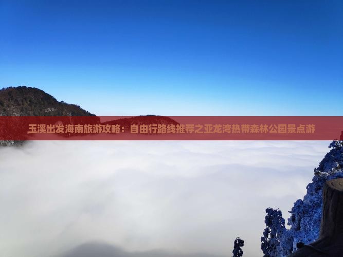 玉溪出发海南旅游攻略：自由行路线推荐之亚龙湾热带森林公园景点游
