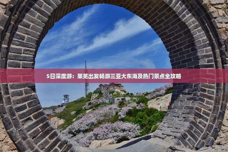5日深度游：莱芜出发畅游三亚大东海及热门景点全攻略