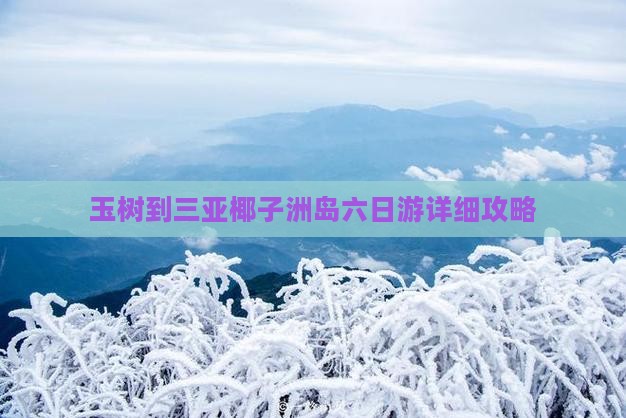 玉树到三亚椰子洲岛六日游详细攻略