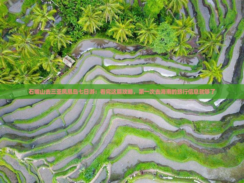 石嘴山去三亚凤凰岛七日游：看完这篇攻略，第一次去海南的旅行信息就够了