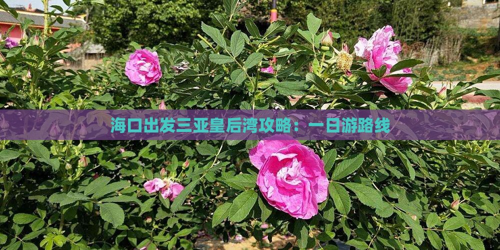 海口出发三亚皇后湾攻略：一日游路线