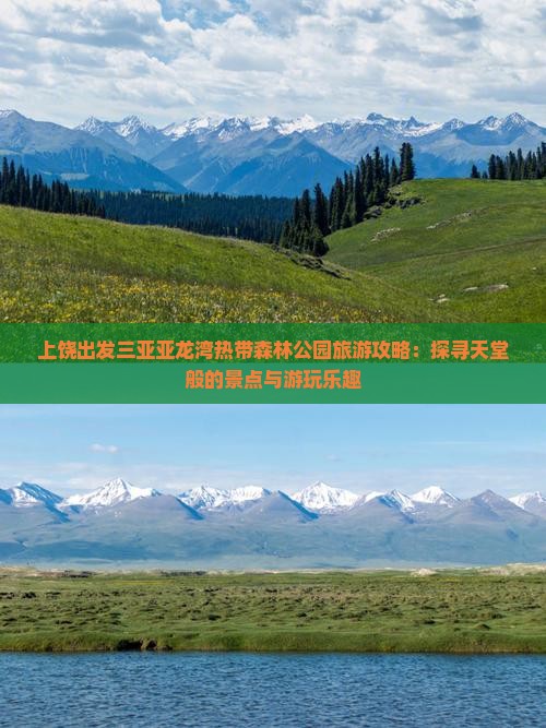 上饶出发三亚亚龙湾热带森林公园旅游攻略：探寻天堂般的景点与游玩乐趣