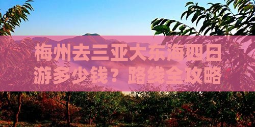 梅州去三亚大东海四日游多少钱？路线全攻略