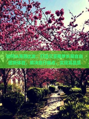 如何从海西出发，打造三亚椰梦长廊自由团新体验，解决旅行痛点，实现高品质出行？