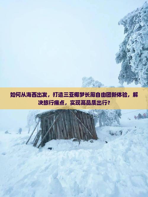 如何从海西出发，打造三亚椰梦长廊自由团新体验，解决旅行痛点，实现高品质出行？