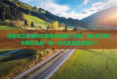 哈密到三亚亚特兰蒂斯水族馆六日游?担心错过打卡网红景点?来一次说走就走的旅行! 哈密到三亚亚特兰蒂斯水族馆六日游?担心错过打卡网红景点?来一次说走就走的旅行!