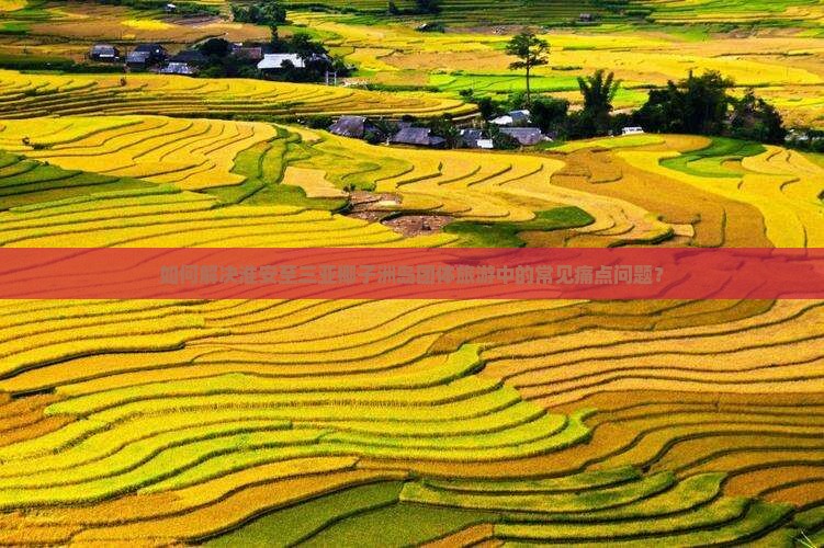 如何解决淮安至三亚椰子洲岛团体旅游中的常见痛点问题？