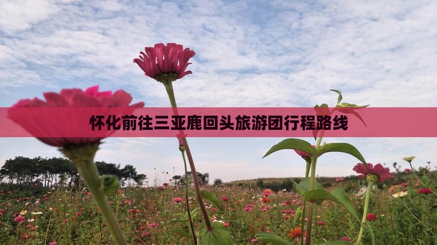 怀化前往三亚鹿回头旅游团行程路线