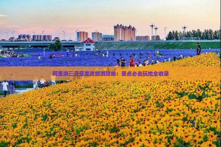 阿里游三亚亚龙湾旅游攻略：景点必去玩地全收录