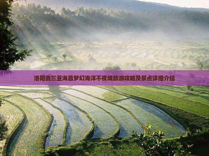 洛阳去三亚海昌梦幻海洋不夜城旅游攻略及景点详细介绍