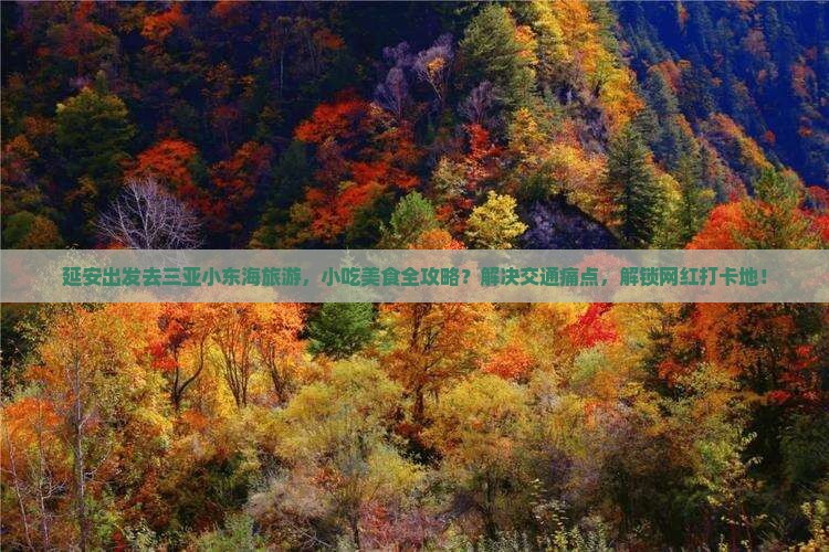 延安出发去三亚小东海旅游，小吃美食全攻略？解决交通痛点，解锁网红打卡地！