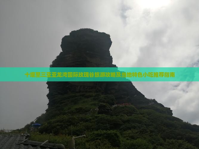 十堰至三亚亚龙湾国际玫瑰谷旅游攻略及当地特色小吃推荐指南
