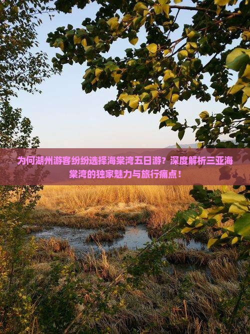 为何湖州游客纷纷选择海棠湾五日游？深度解析三亚海棠湾的独家魅力与旅行痛点！