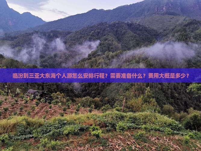 临汾到三亚大东海个人游怎么安排行程？需要准备什么？费用大概是多少？