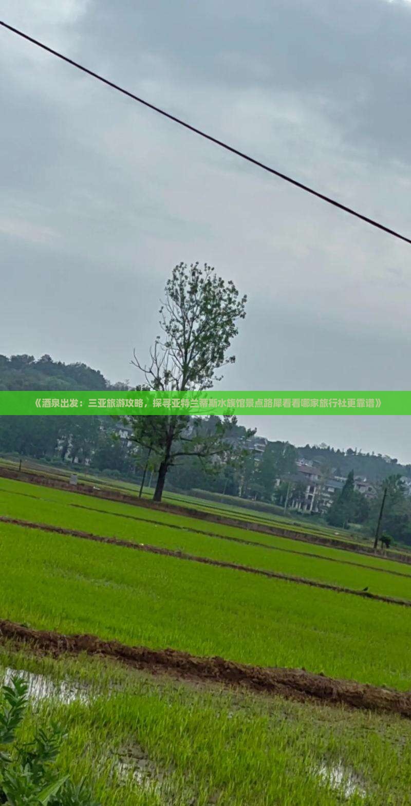 《酒泉出发：三亚旅游攻略，探寻亚特兰蒂斯水族馆景点路犀看看哪家旅行社更靠谱》