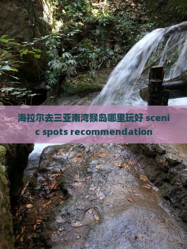 海拉尔去三亚南湾猴岛哪里玩好 scenic spots recommendation