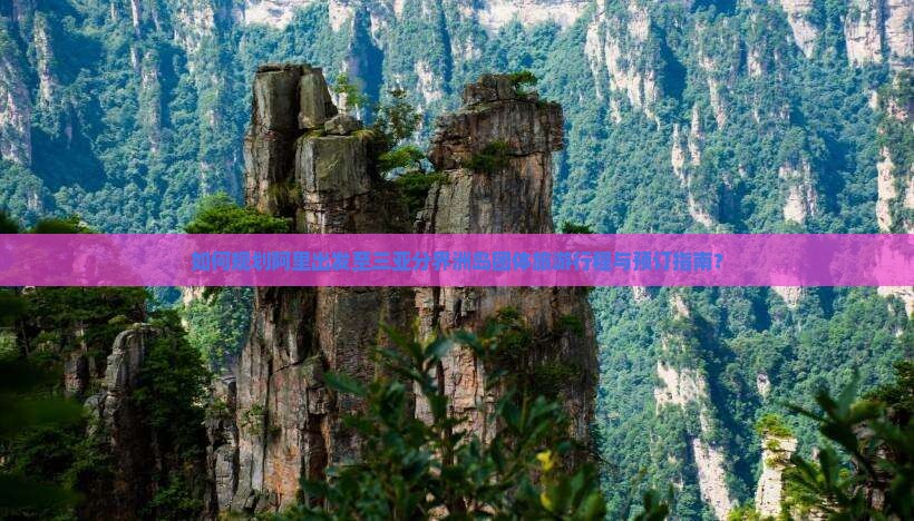 如何规划阿里出发至三亚分界洲岛团体旅游行程与预订指南？