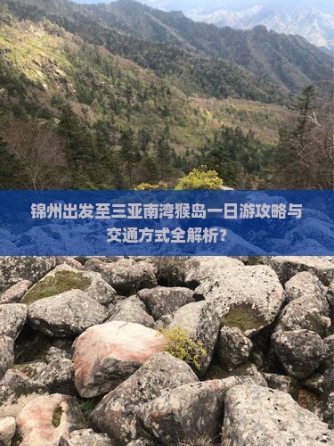 锦州出发至三亚南湾猴岛一日游攻略与交通方式全解析？