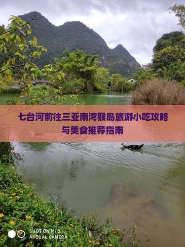 七台河前往三亚南湾猴岛旅游小吃攻略与美食推荐指南