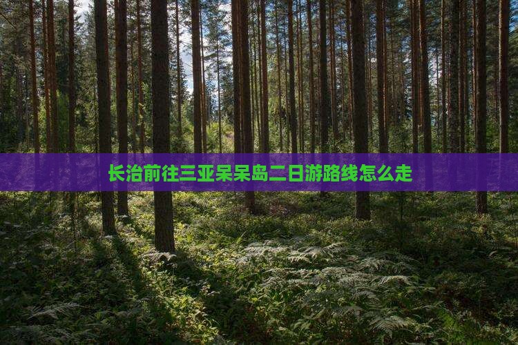 长治前往三亚呆呆岛二日游路线怎么走