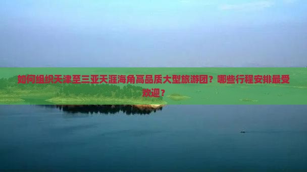 如何组织天津至三亚天涯海角高品质大型旅游团？哪些行程安排最受欢迎？