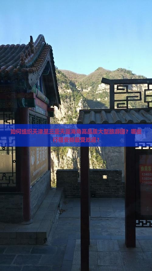 如何组织天津至三亚天涯海角高品质大型旅游团？哪些行程安排最受欢迎？