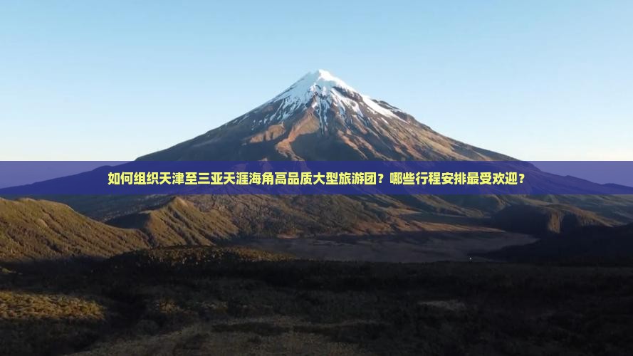 如何组织天津至三亚天涯海角高品质大型旅游团？哪些行程安排最受欢迎？