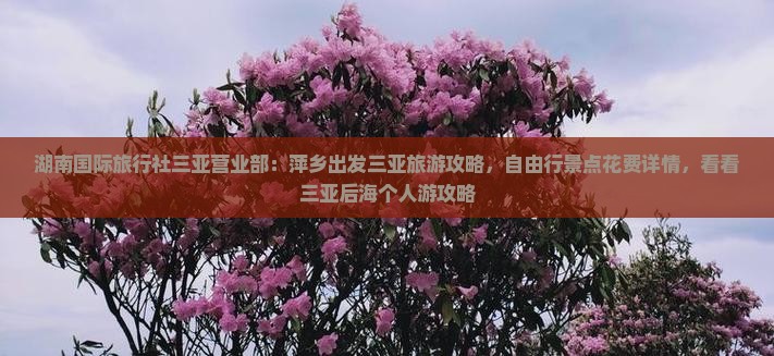 湖南国际旅行社三亚营业部：萍乡出发三亚旅游攻略，自由行景点花费详情，看看三亚后海个人游攻略