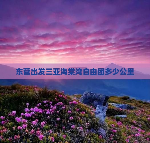 东营出发三亚海棠湾自由团多少公里