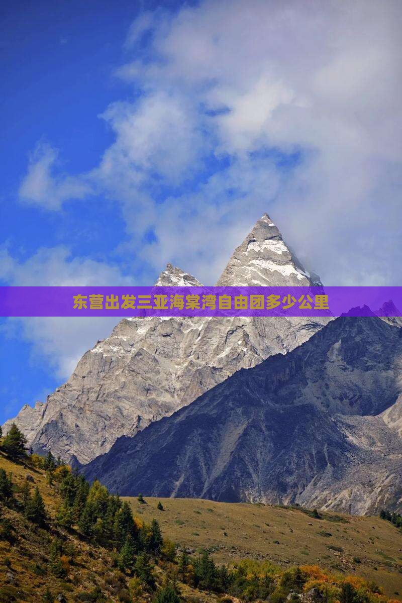 东营出发三亚海棠湾自由团多少公里