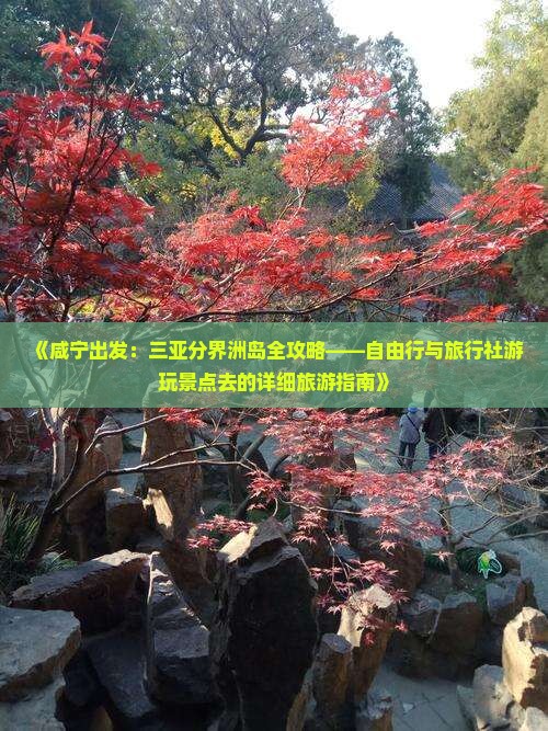 《咸宁出发：三亚分界洲岛全攻略——自由行与旅行社游玩景点去的详细旅游指南》