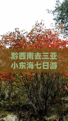 黔西南去三亚小东海七日游费用及自驾路线