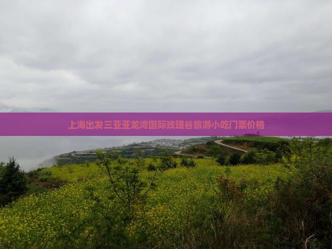 上海出发三亚亚龙湾国际玫瑰谷旅游小吃门票价格