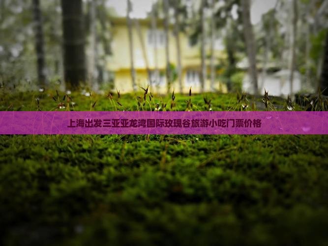 上海出发三亚亚龙湾国际玫瑰谷旅游小吃门票价格