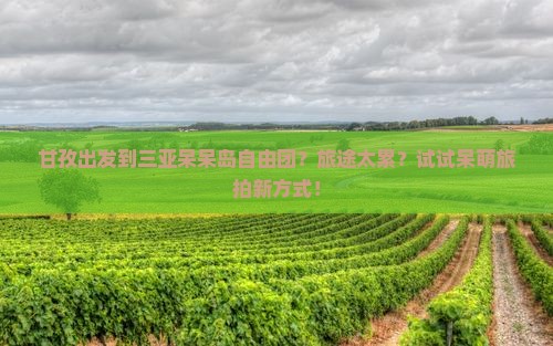 甘孜出发到三亚呆呆岛自由团？旅途太累？试试呆萌旅拍新方式！