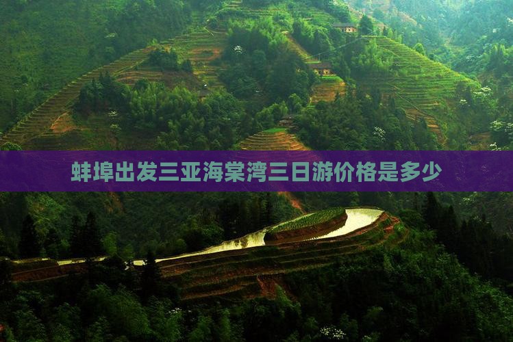 蚌埠出发三亚海棠湾三日游价格是多少