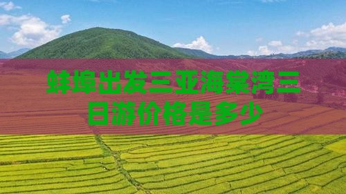 蚌埠出发三亚海棠湾三日游价格是多少