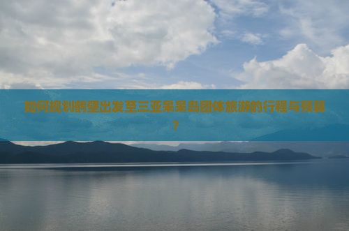如何规划鹤壁出发至三亚呆呆岛团体旅游的行程与预算？