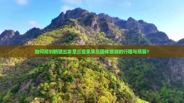如何规划鹤壁出发至三亚呆呆岛团体旅游的行程与预算？