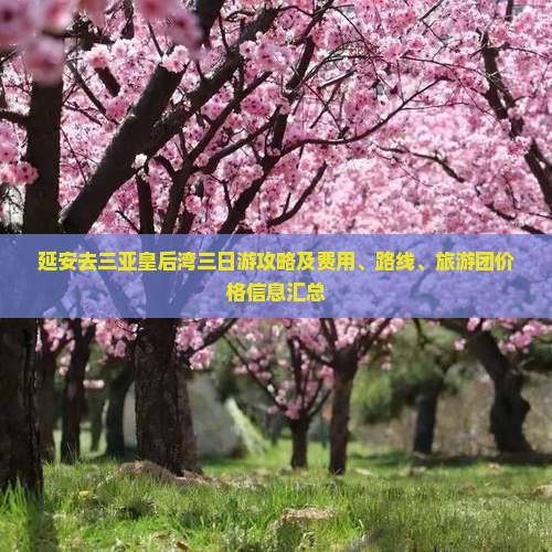 延安去三亚皇后湾三日游攻略及费用、路线、旅游团价格信息汇总