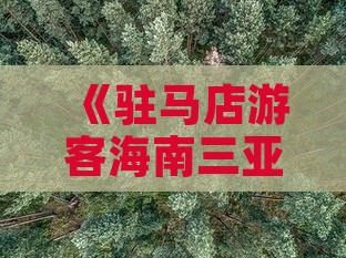 《驻马店游客海南三亚凤凰岛旅游攻略》
