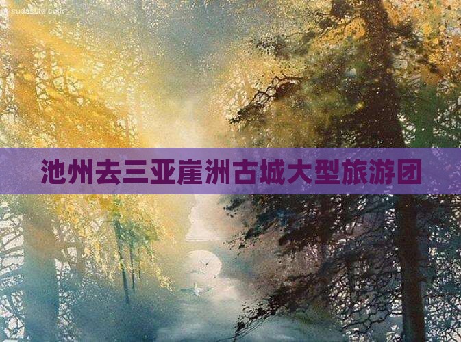 池州去三亚崖洲古城大型旅游团