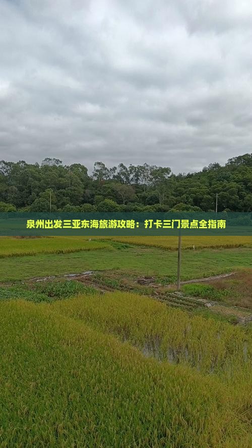 泉州出发三亚东海旅游攻略：打卡三门景点全指南