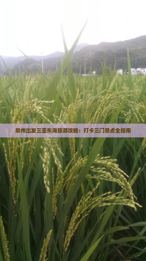 泉州出发三亚东海旅游攻略：打卡三门景点全指南