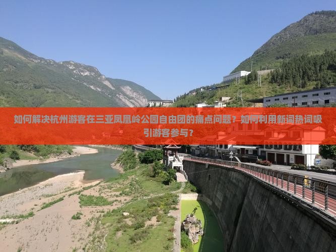 如何解决杭州游客在三亚凤凰岭公园自由团的痛点问题？如何利用新词热词吸引游客参与？
