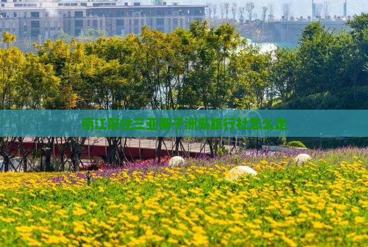 丽江前往三亚椰子洲岛旅行社怎么走