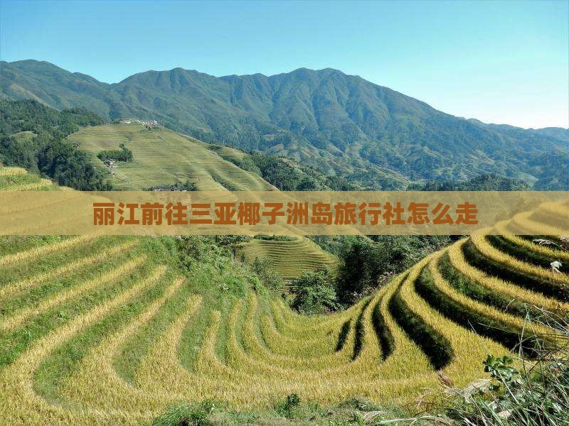 丽江前往三亚椰子洲岛旅行社怎么走