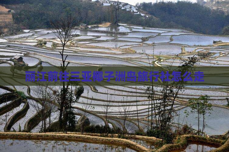 丽江前往三亚椰子洲岛旅行社怎么走
