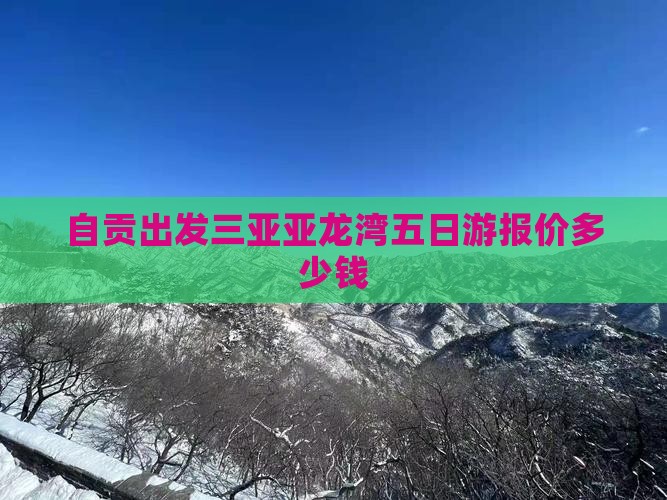 自贡出发三亚亚龙湾五日游报价多少钱
